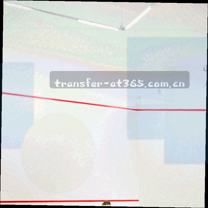 每月 4 期专栏笔记的发布节奏示意图形，两个固定栏目以等宽数字标注在轮次轴上